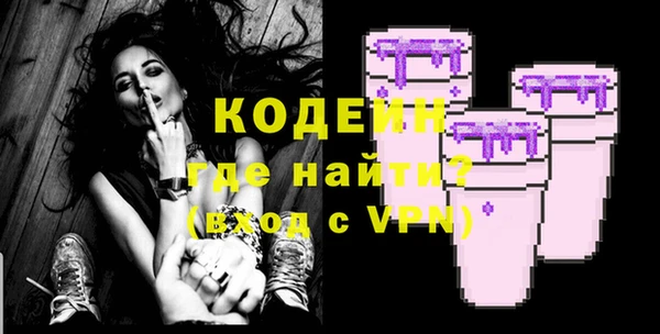 индика Волоколамск