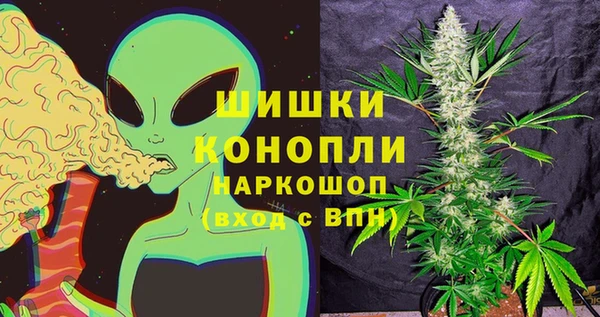 индика Волоколамск