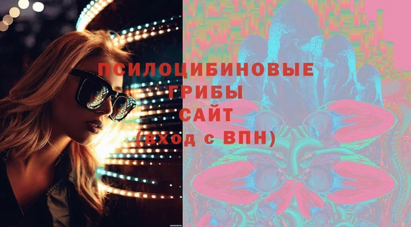 соль ск Верхний Тагил