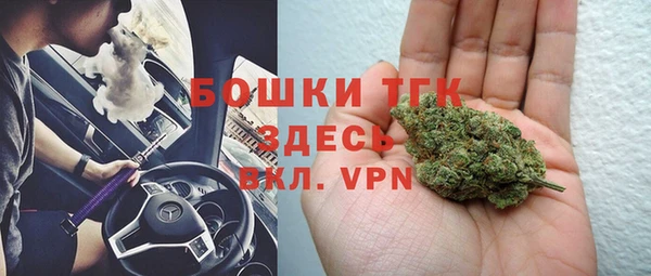 соль ск Верхний Тагил