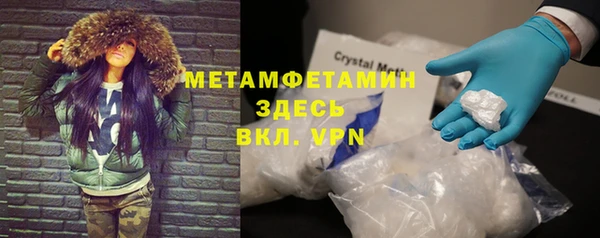 индика Волоколамск